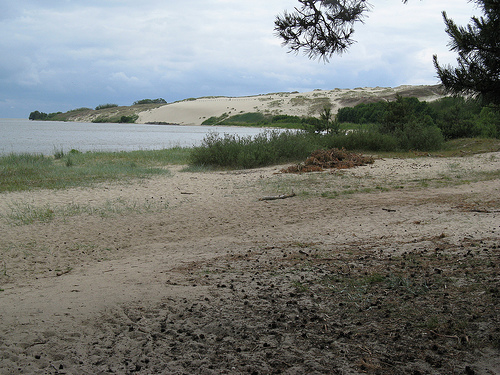 Kuršių Nerija National Park